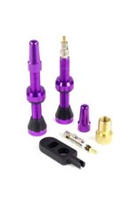 1-20 seal-valve 2 44mm purple