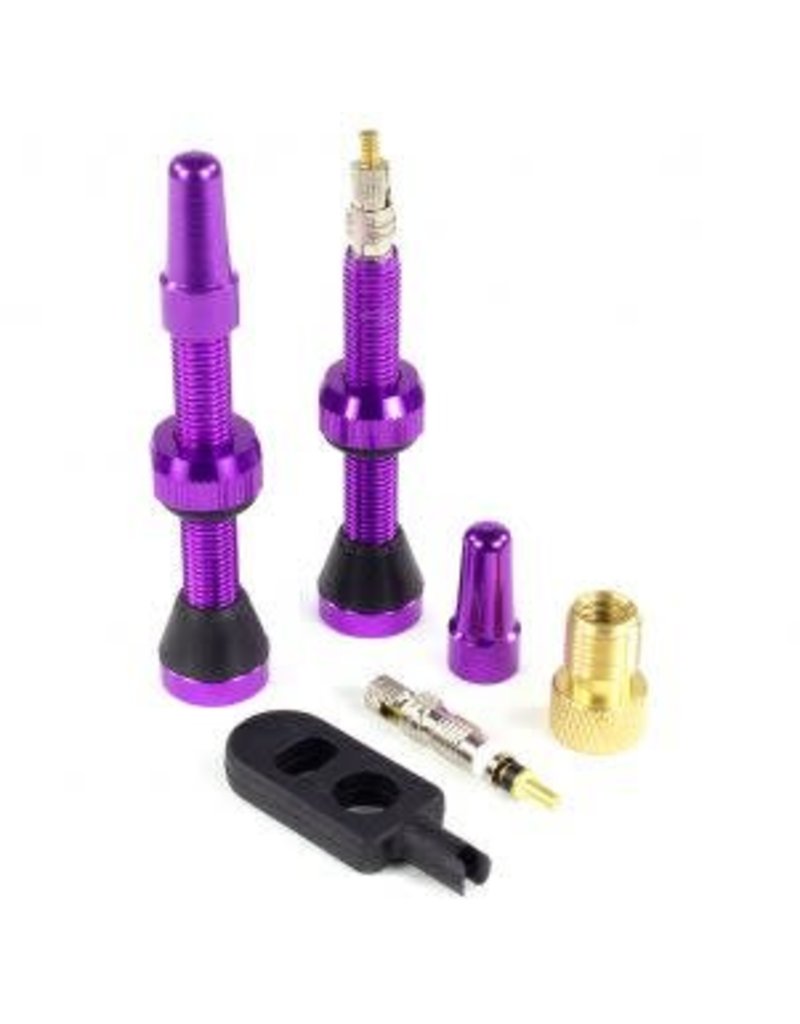 1-20 seal-valve 2 44mm purple