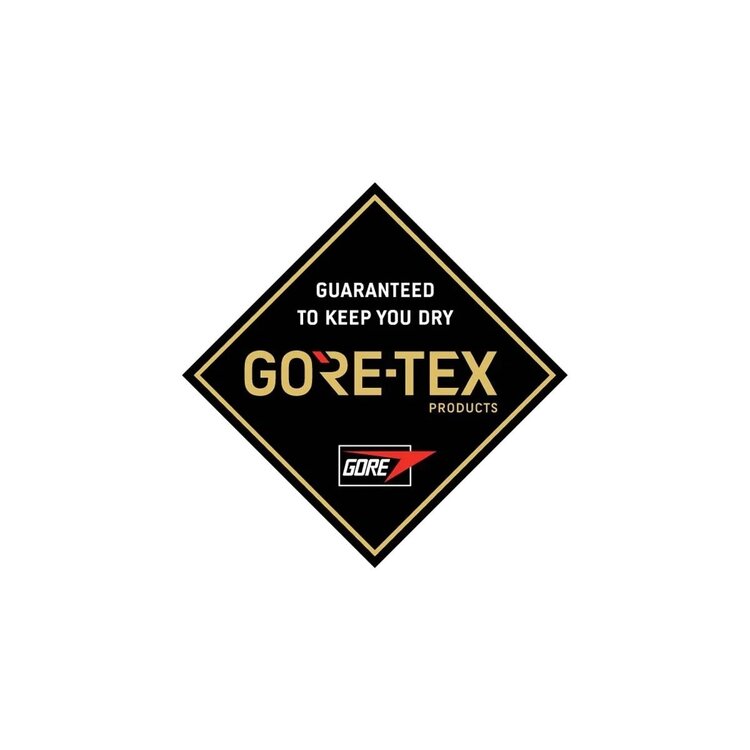 Dakine DAKINE | EXCURSION GORE-TEX MITT