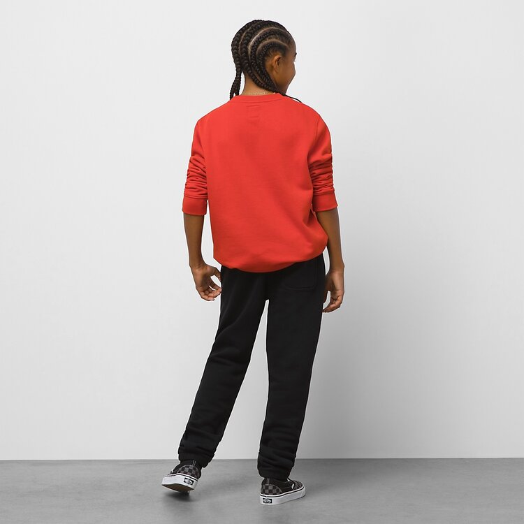 Vans VANS | YOUTH DIGI FLAMES