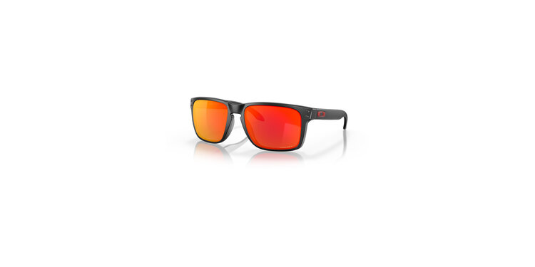 Oakley HOLBROOK XL