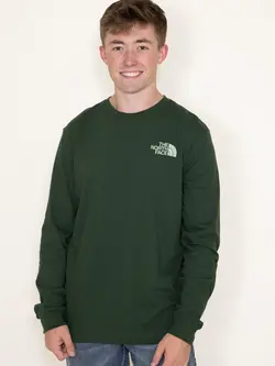North Face HOMMES HIT GRAPHIC PINE NEEDLE/MISTY SAGE