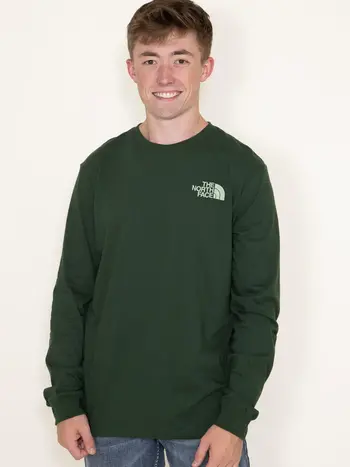 North Face MEN'S HIT GRAPHIC PINE NEEDLE/MISTY SAGE