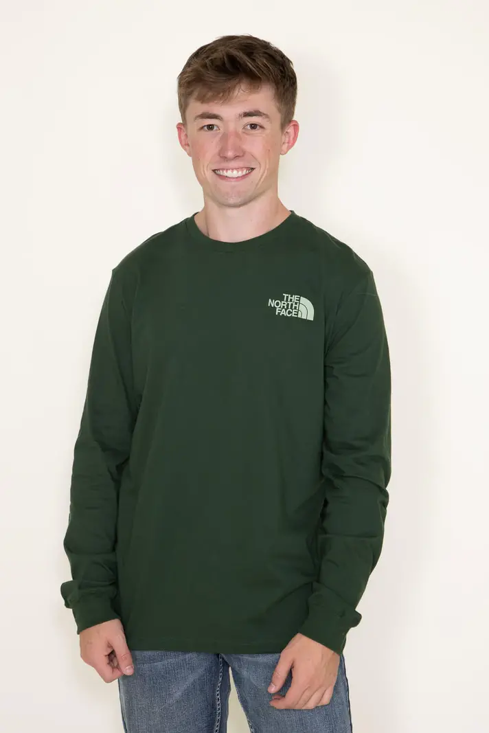 North Face MEN'S HIT GRAPHIC PINE NEEDLE/MISTY SAGE