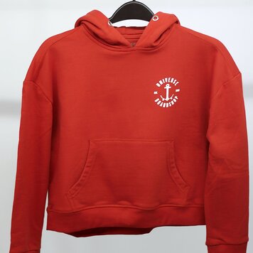Universe Boardshop YOUTH CROP HOODY ST CLASSIC ANCRE LAVA