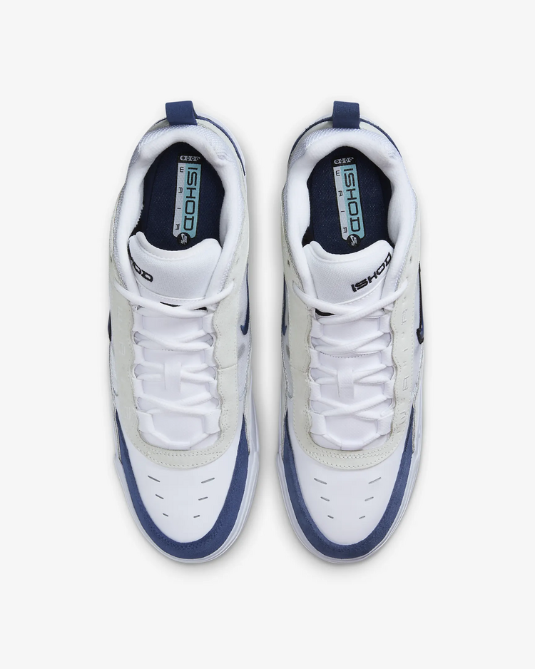 Nike SB HOMMES AIR MAX ISHOD