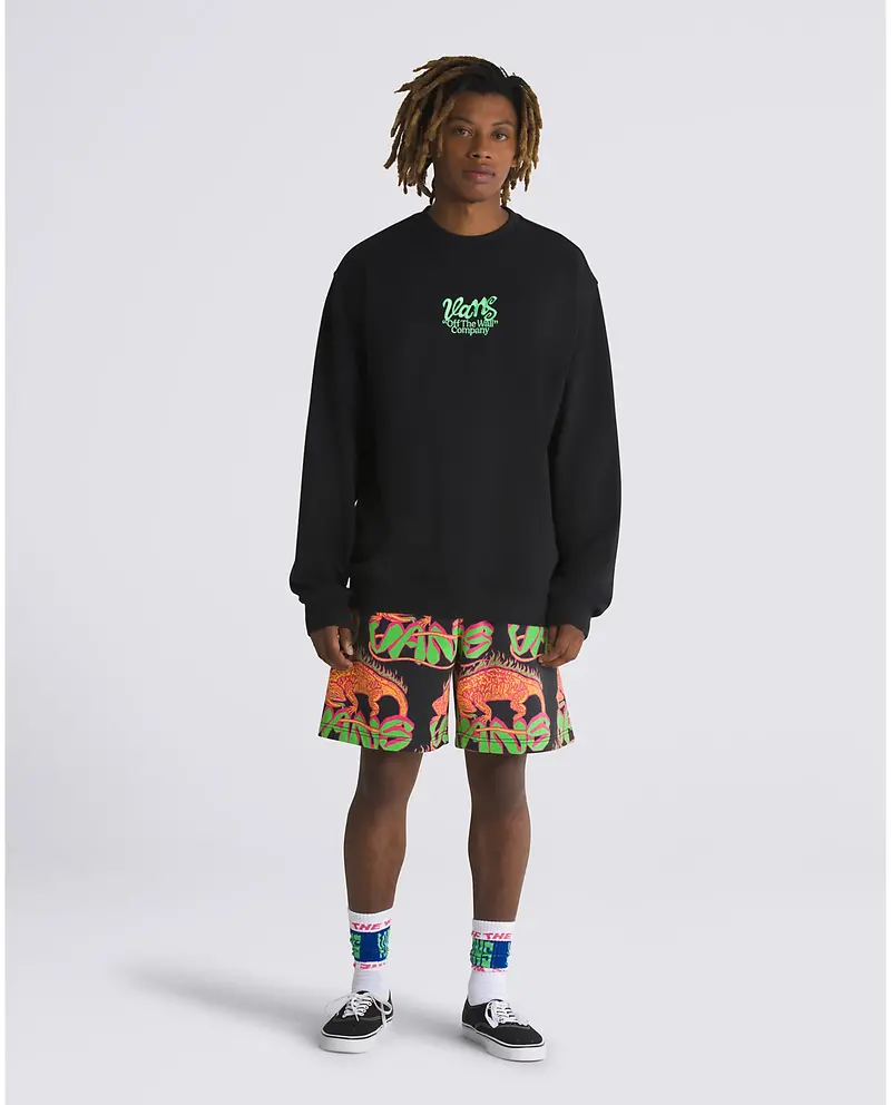 Vans HOMMES SPRAY TYPE LOOSE CREW