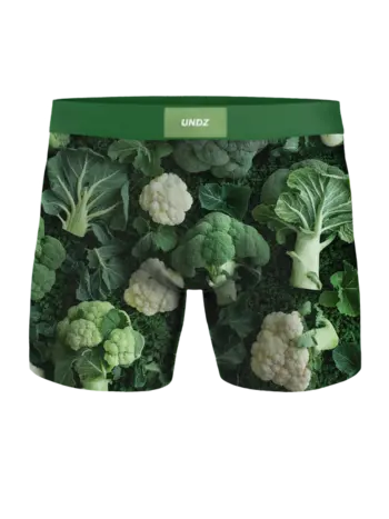Undz ENFANTS CLASSIC BOXER-LEGUMES