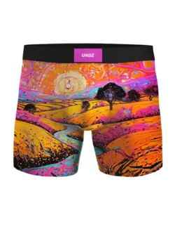 Undz MEN'S CLASSIC BOXER-ABSTRACT ART