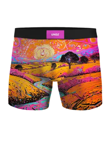 Undz HOMMES CLASSIC BOXER-ABSTRACT ART