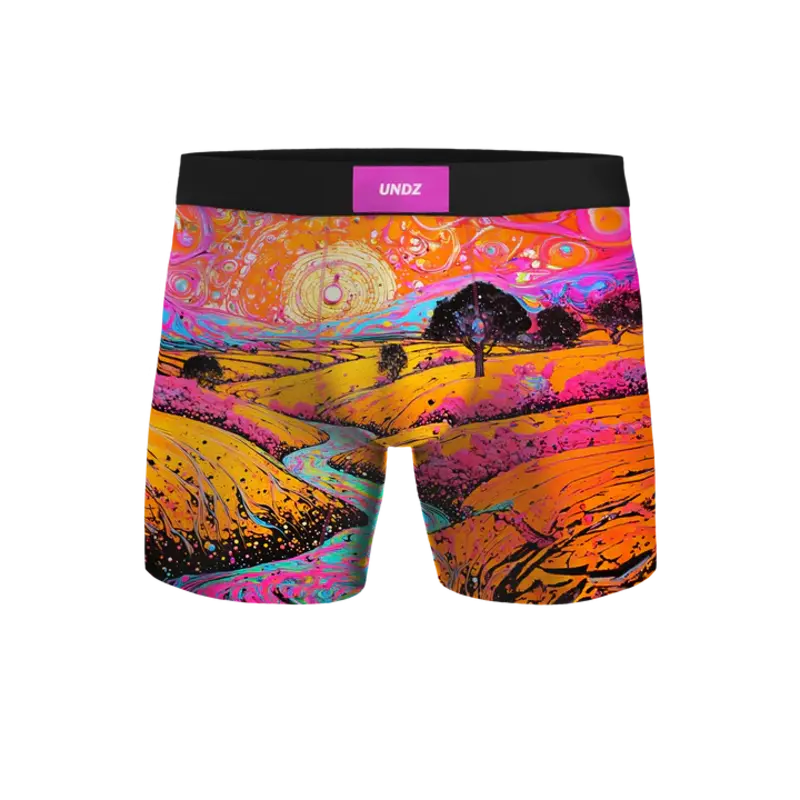 Undz HOMMES CLASSIC BOXER-ABSTRACT ART