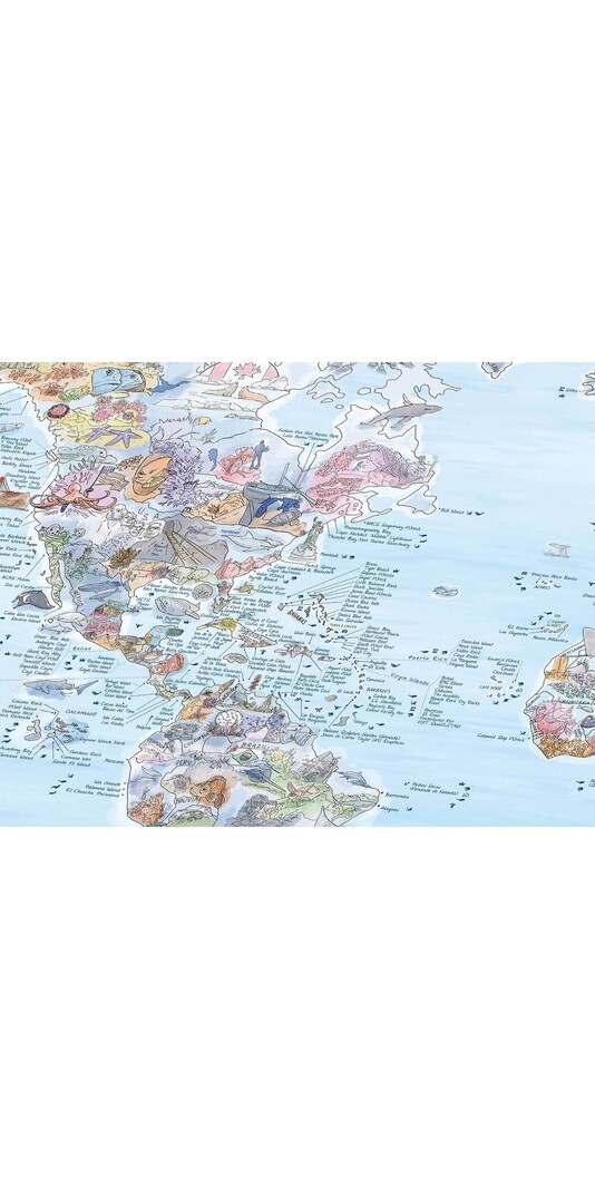 GLOBE TROTT-AIR 187 DIVE MAP