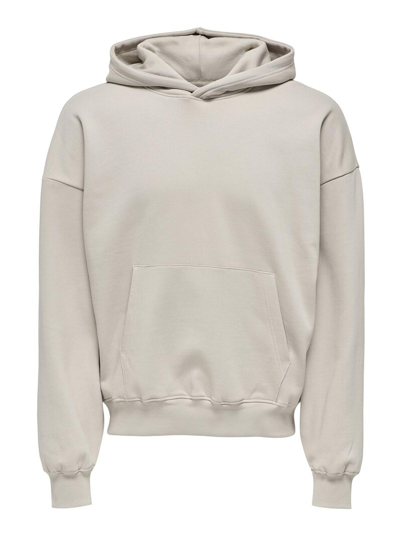 Only & Sons TURNER LIFE HOODIE STRING