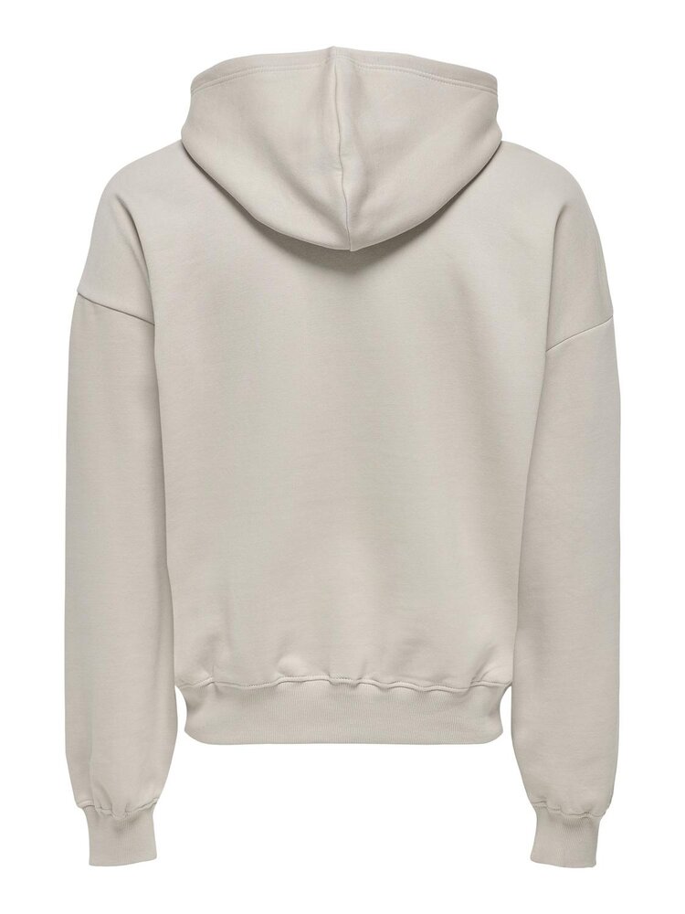 Only & Sons TURNER LIFE HOODIE
