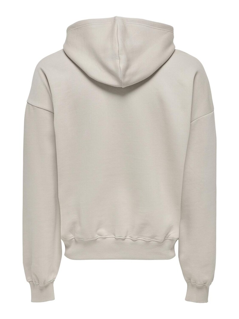 Only & Sons TURNER LIFE HOODIE STRING