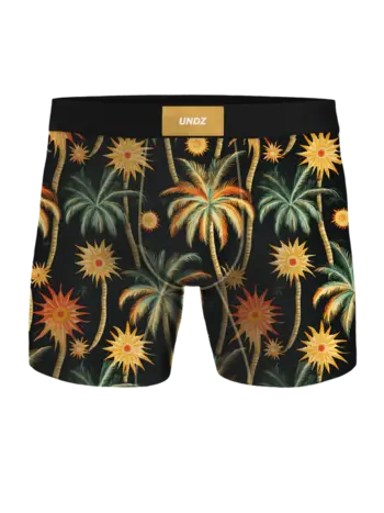 Undz HOMMES CLASSIC BOXER PALMIERS