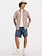 Levis MEN'S 468 LOOSE 9'' SHORT PICNIC & FRIENDS