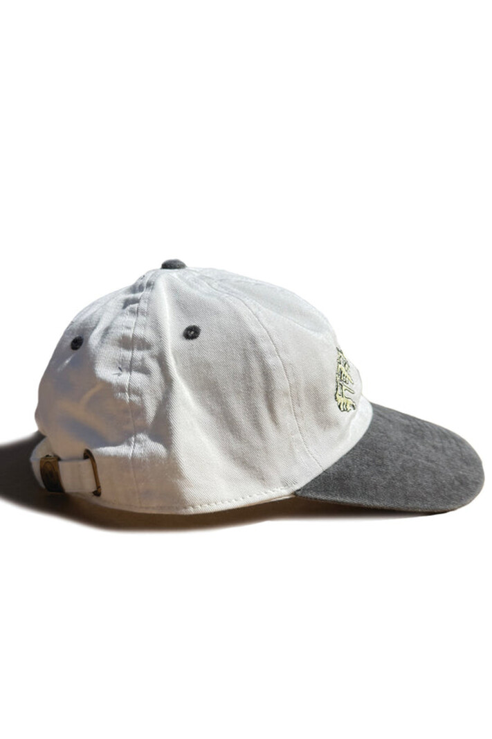 Frosted Skateboards HOMMES GOTH CAP TWO TONE