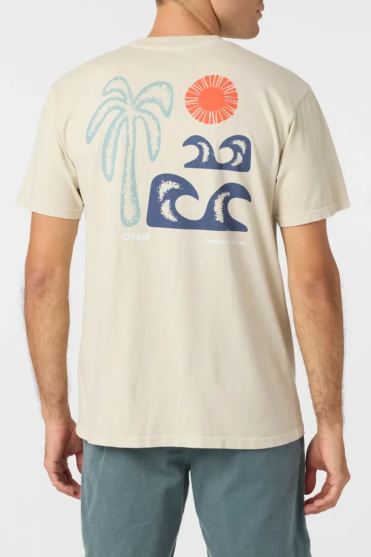 O'Neill HOMMES OG SCENIC TEE