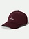 Brixton MEN'S NETPLUS LP ADJUSTABLE HAT