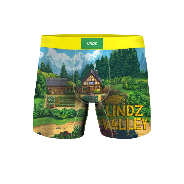 Undz HOMMES CLASSIC BOXER UNDZ VALLEY