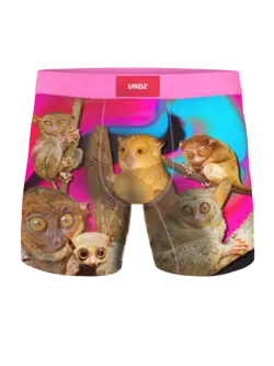 Undz HOMMES CLASSIC BOXER TARSIER