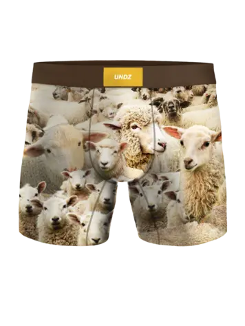 Undz HOMMES CLASSIC BOXER BIN DES MOUTONS