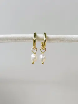 Horace DOLKO BOUCLES D'OREILLES