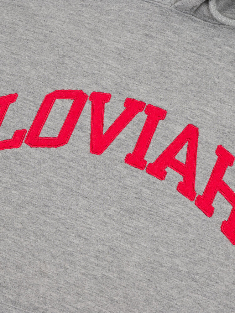 LOVIAH MEN'S UNIVERSITY HOODIE
