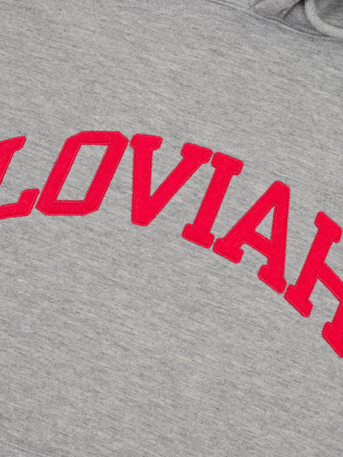LOVIAH HOMMES UNIVERSITY HOODIE