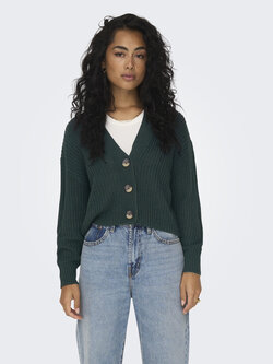 Only WOMEN'S CAROL NICE CARDIGAN GREEN GABLES