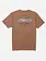 Salty crew MEN'S TROUT MOUNT SS TEE