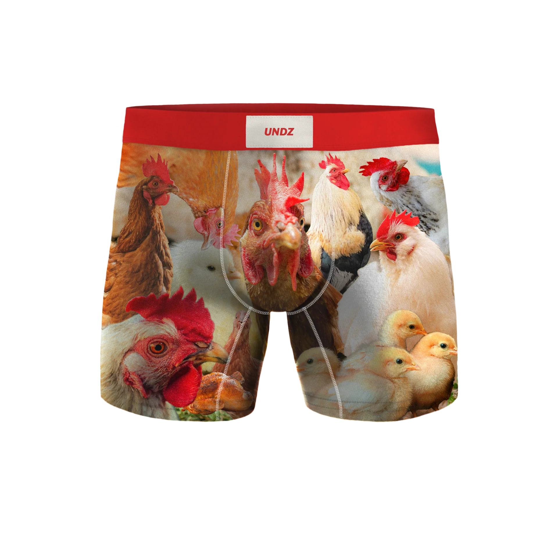 Undz HOMMES CLASSIC BOXER BIN DES POULES