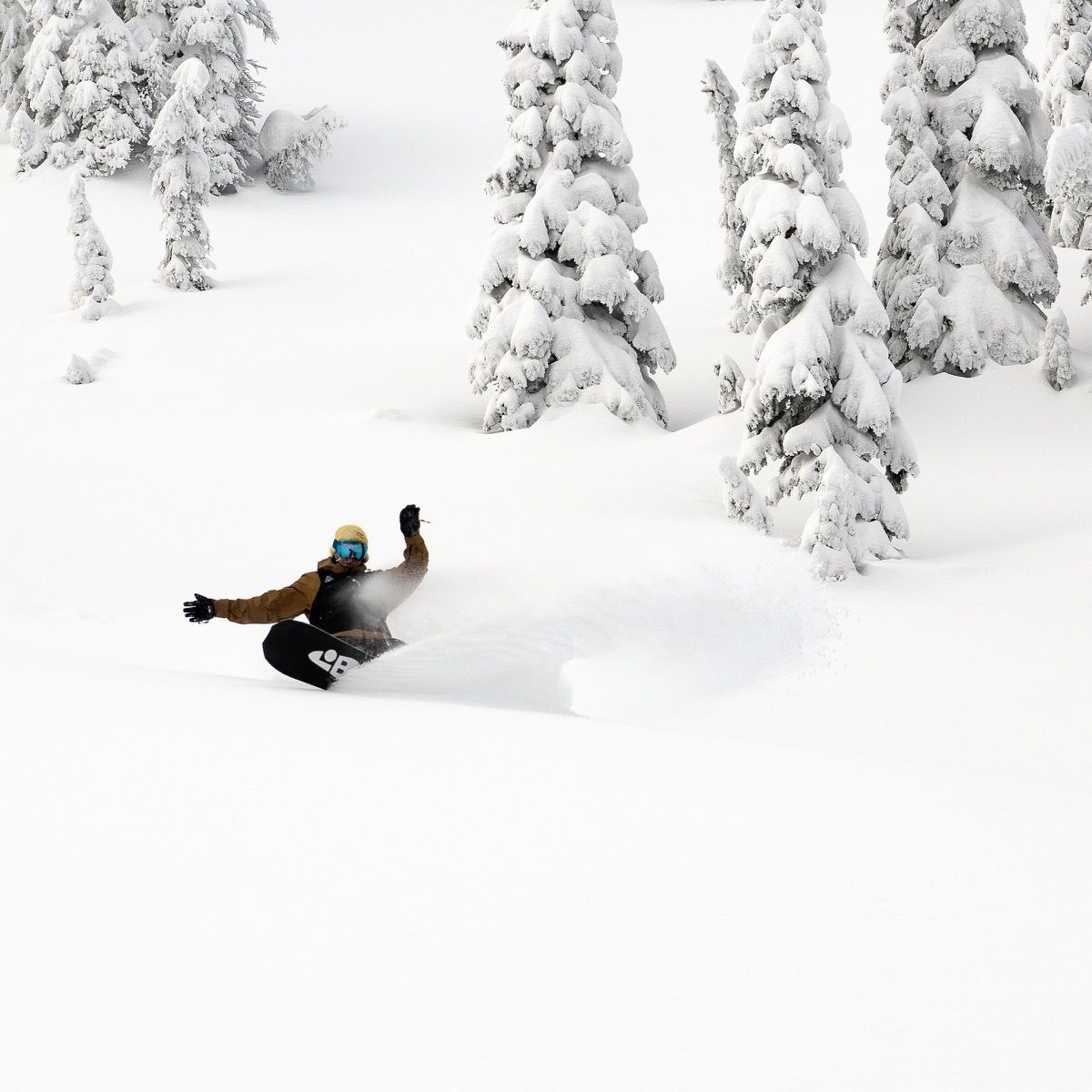 Lib Tech HOMMES ORCA SNOWBOARD