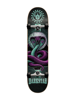 Darkstar SNAKE FP SKATEBOARD COMPLET AQUA 8"
