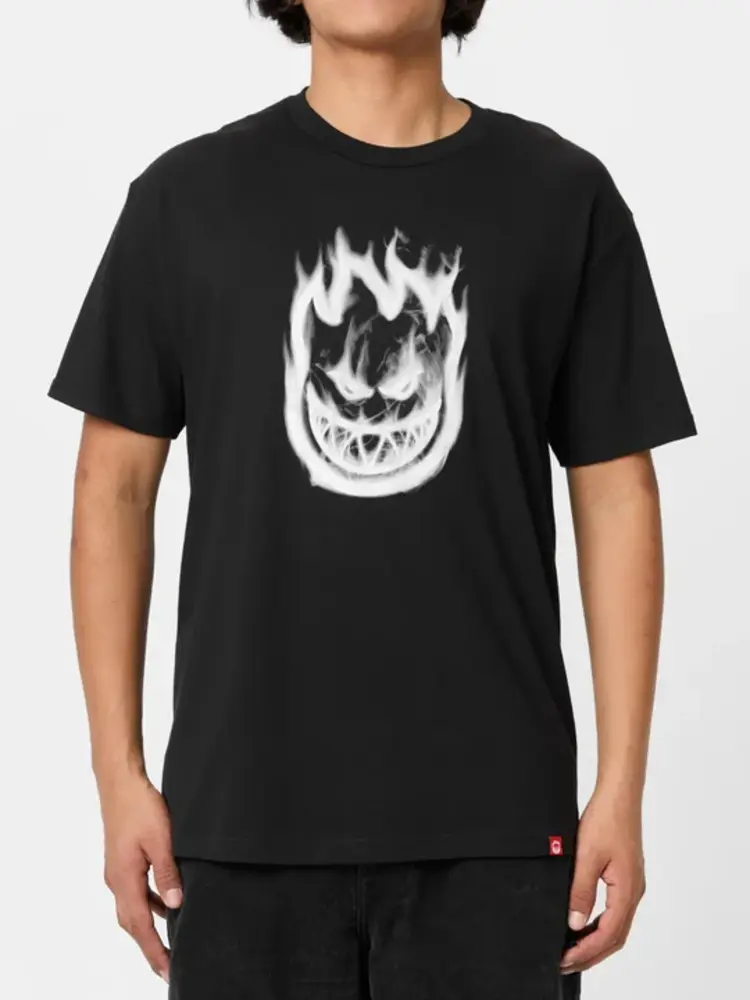 Spitfire HOMMES BIGHEAD SMOKE SS T-SHIRT
