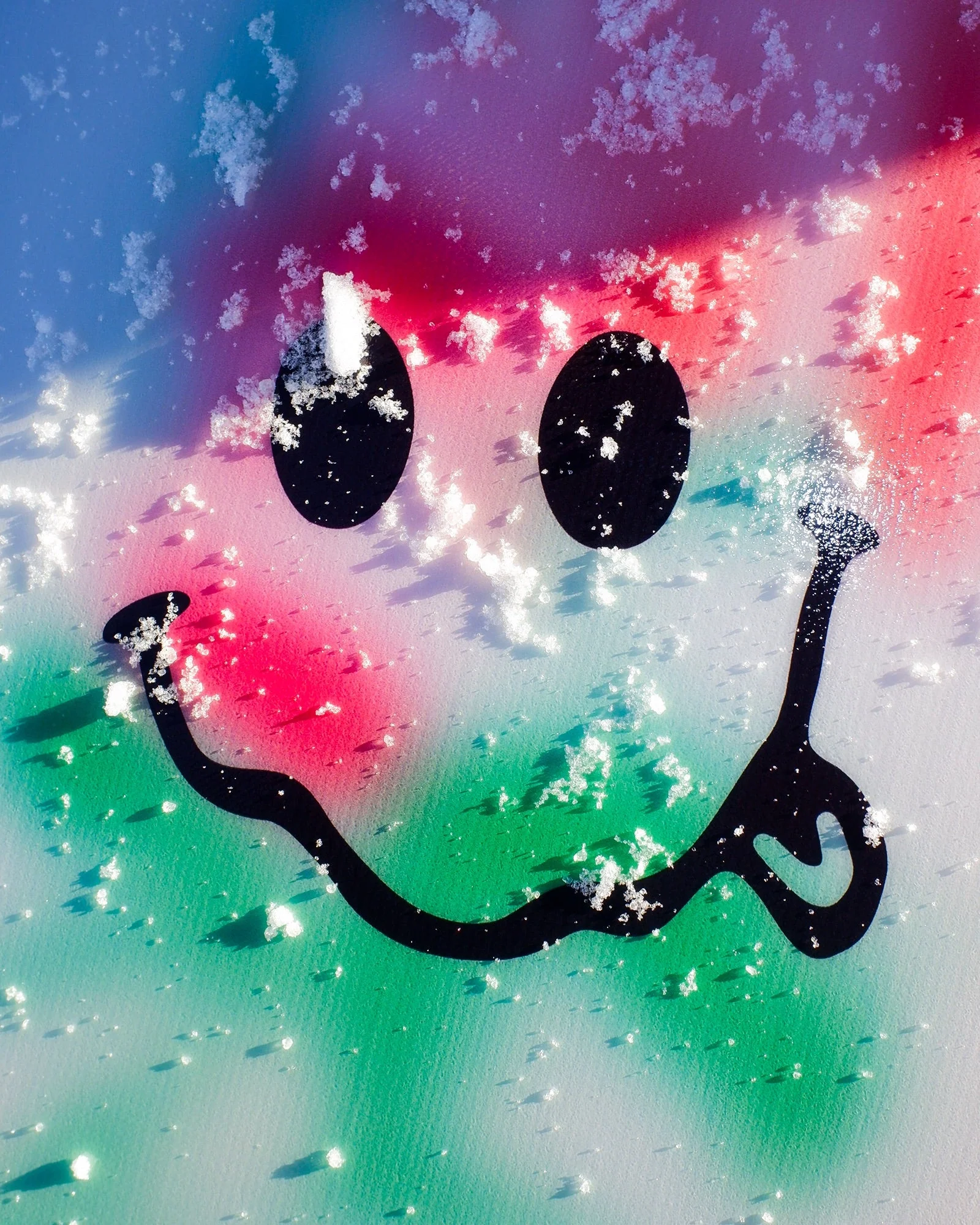 Bataleon MEN'S EVIL TWIN SNOWBOARD