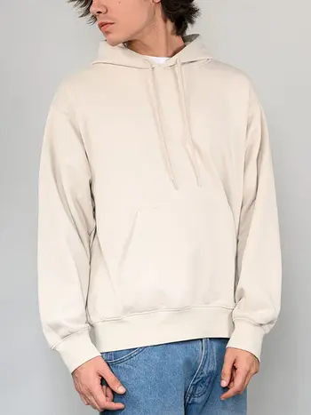 Vans HOMMES ORIGINAL STANDARD HOODIE TAUPE MIST