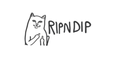 RIPNDIP