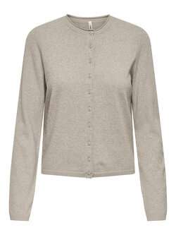 Only FEMMES LOYAL LS O-NECK BEIGE MELANGE