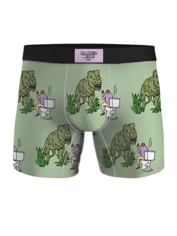 Undz HOMMES CLASSIC BOXER T-REX X BROTHERMERLE
