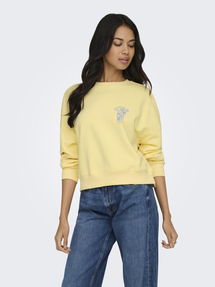 Only FEMMES VIVVIAN L/S O-NECK
