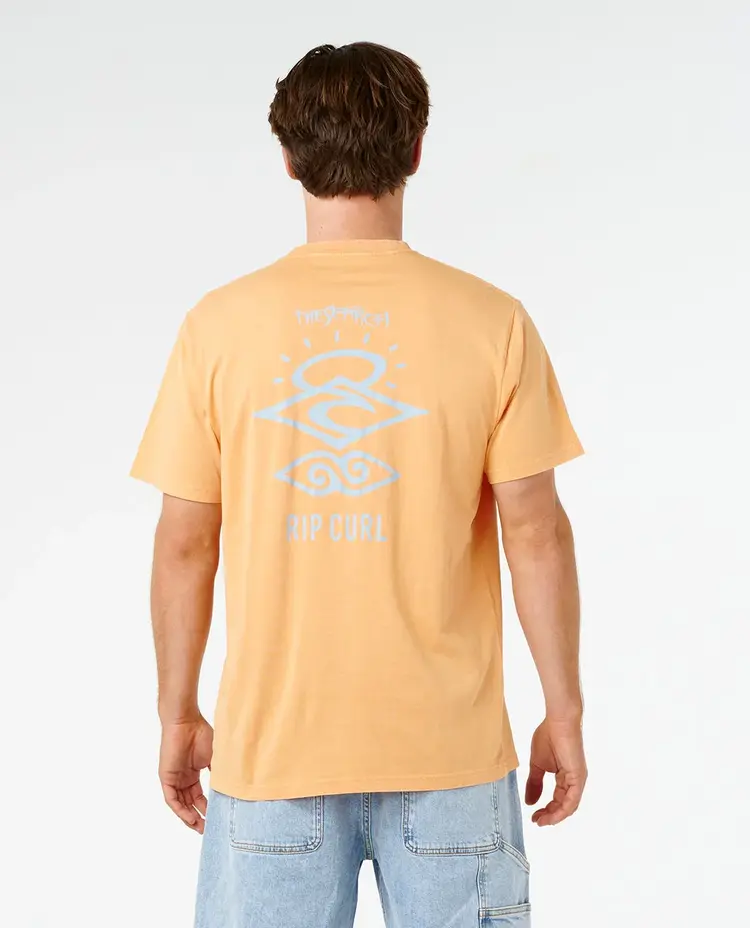 RIP CURL MEN'S SEARCH ICON RELAXED TEE