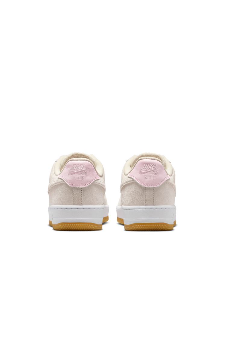 Nike SB HOMMES AIR FORCE 1