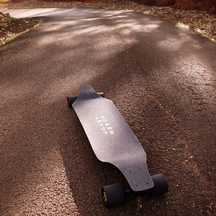 Landyachtz EVO 40 BEAR COMPLÈT