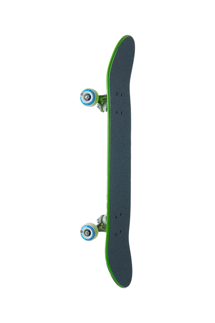 Push Skateboards LIZARD BIG FP COMPLETE SKATEBOARD MULTI 7.5"