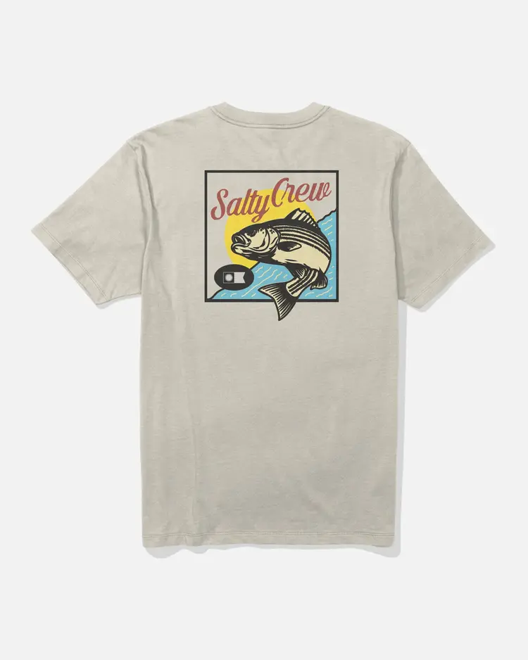 Salty crew HOMMES STRIPED CREW TEE