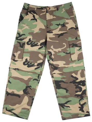 Frosted Skateboards HOMMES TRANSFORMER PANTS RIPSTOP CAMO