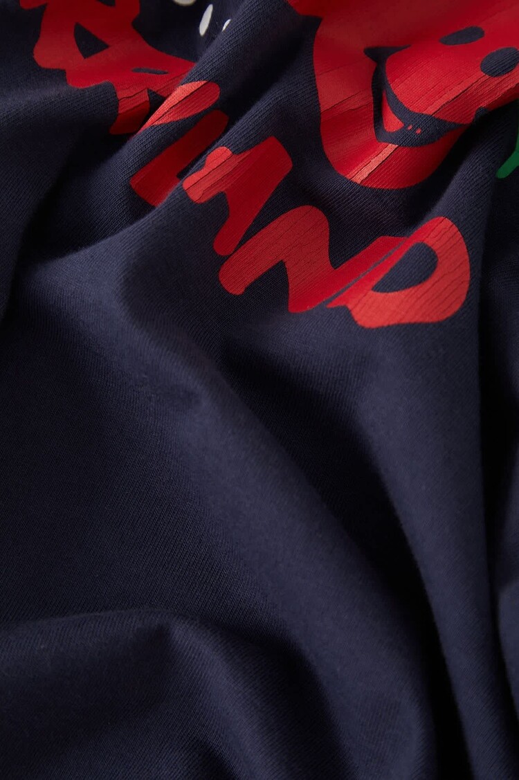 Brixton FEMMES CHERRYLAND BOXY CROPPED CREW