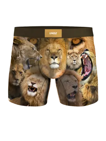 Undz MEN'S CLASSIC BOXER LIONS